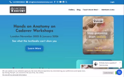 Functionalanatomy