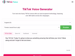 Tiktokvoice