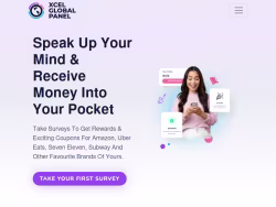 Xcel-onlinesurveys
