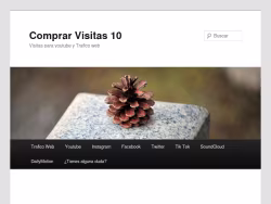 Comprarvisitas10