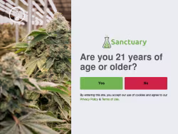 Sanctuarymedgardner