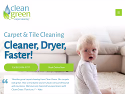 Cleangreencarpetcleaning
