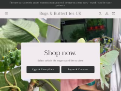 Bugsandbutterflies