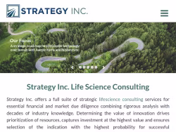 Strategyinc