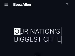 Boozallen