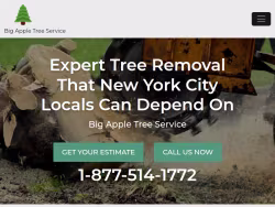Treeremoval-newyorkcity