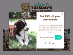Thenaturaldogcompany