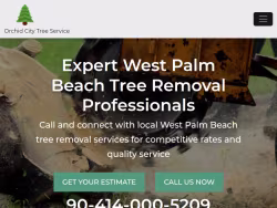 Treeremoval-westpalmbeach