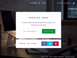 Scarfandtail