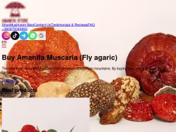 Amanita-store
