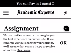 Academicexperts
