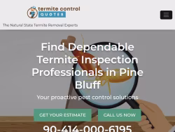 Termite-arkansas