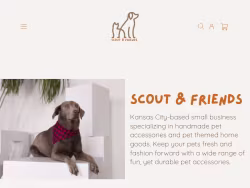 Scoutandfriends