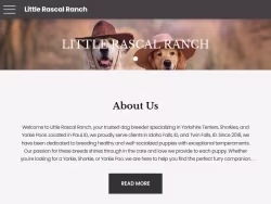 Littlerascalranchid