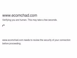 Ecomchad