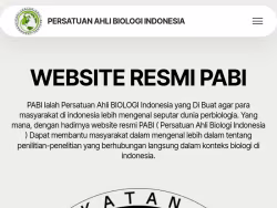 Pabi