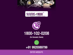 Sleuthsindiadetectives