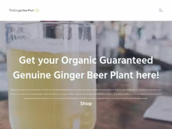 Gingerbeerplant