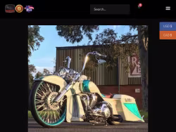 Irontriberiders