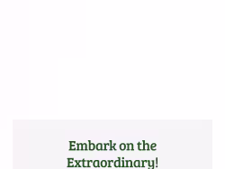 Prioritywildsafaris
