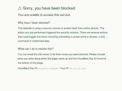Theblackbusinessschool