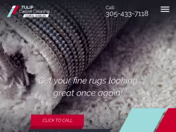 Coralgablescarpetcleaning