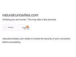 Naturalcuriosities