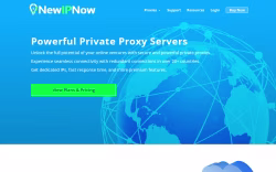 NewIPNow