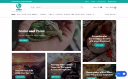 sunsetreptiles.com