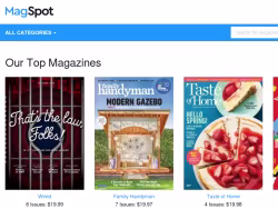 Magspot