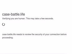 Case-battle