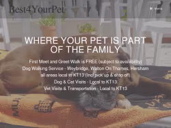 Best4yourpet
