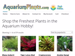 Aquariumplants
