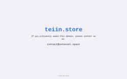 teiin.store
