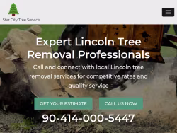 Lincoln-treeremoval