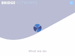 Bridge-networks