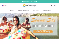 Efficiencyi