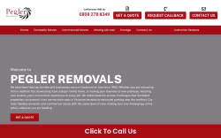 Peglerremovals