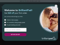 Brilliantpet