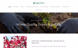 Supertrees