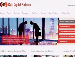 Gatocapitalpartners
