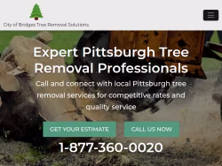 Pittsburgh-treeremoval