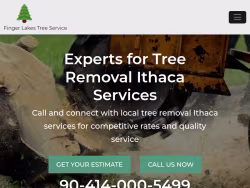 Treeremoval-ithaca