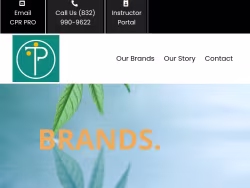 Therapeuticprofessionals
