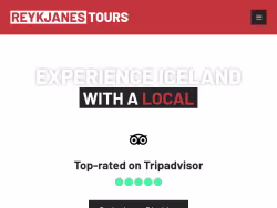 Reykjanestours