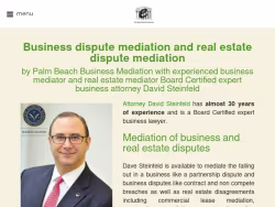 Palmbeachbusinessmediation