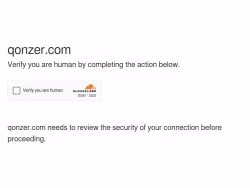 Qonzer