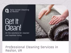 Restoncarpetcleaning