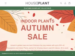 Houseplant