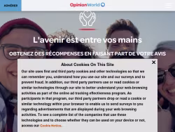 Opinionworld
